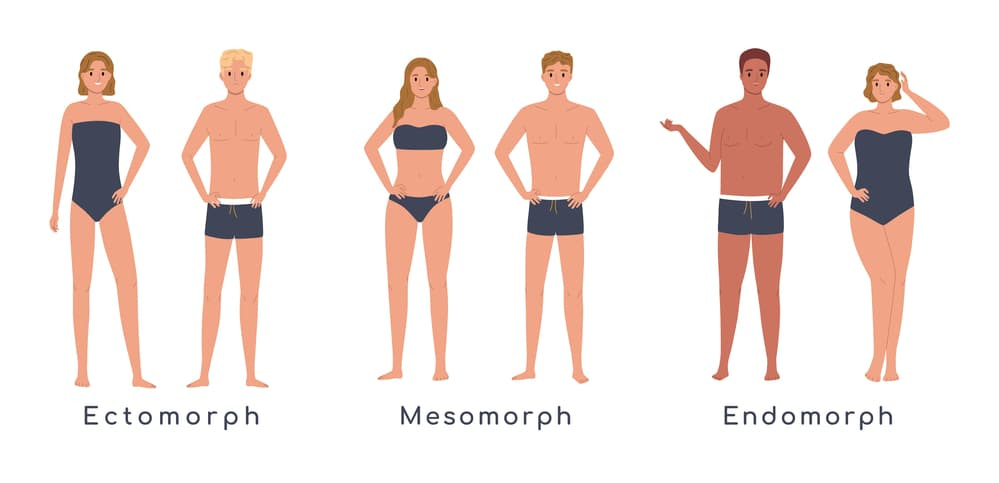 Different Body Types